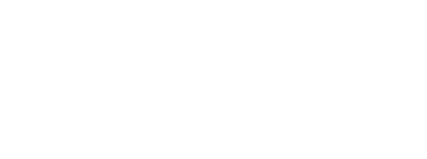 Aussizz